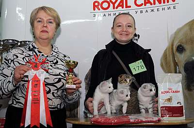 Выставка кошек 'Зимний Кэт-Салон'  22-23 февраля 2014 монопородные шоу DSC_1490r 178.jpg